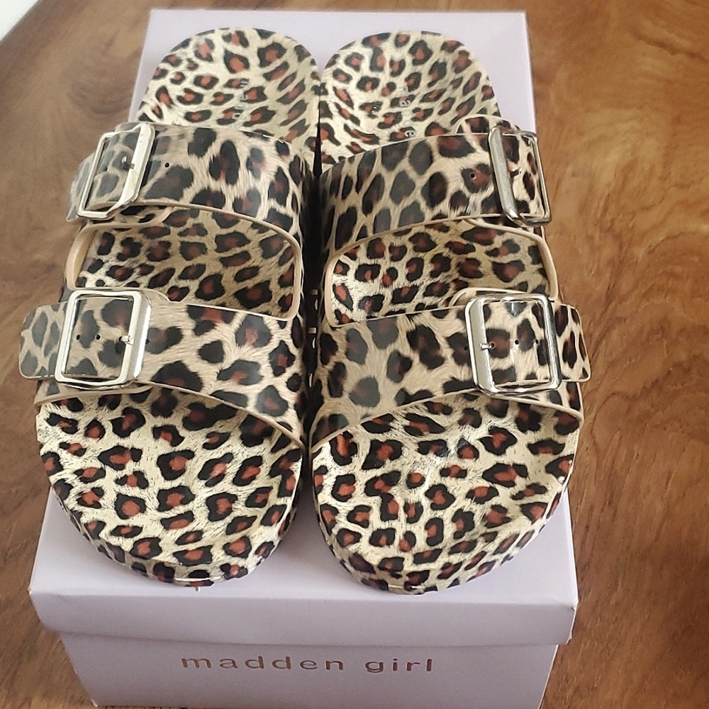 Madden girl Teddy slides